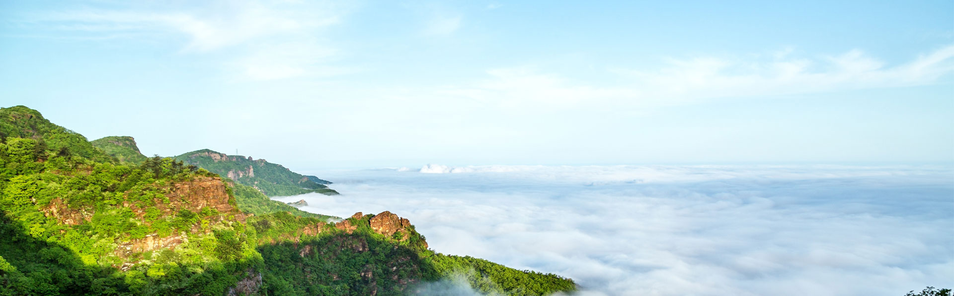 佰麗聯(lián)水漆 公司簡介